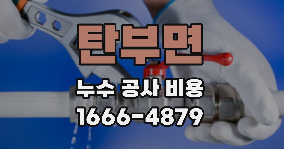 탄부면 누수 공사 비용