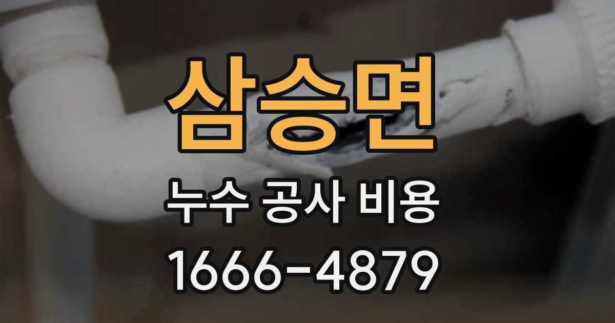 삼승면 누수 공사 비용