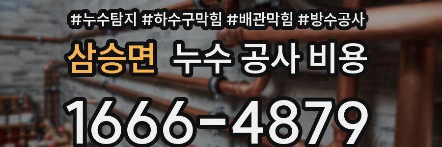 삼승면 누수 공사 비용
