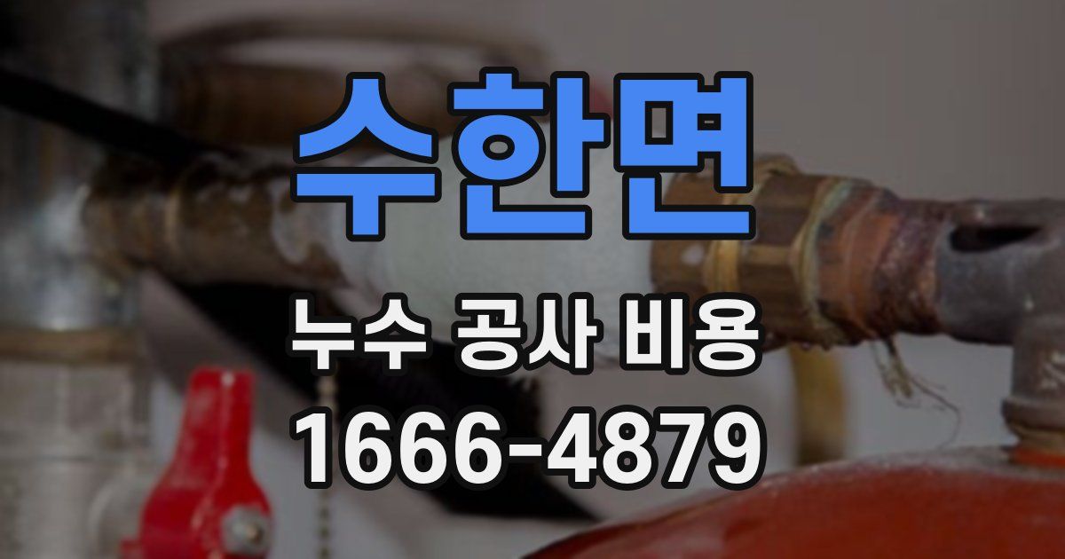 수한면 누수 공사 비용