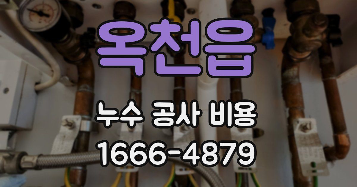 옥천읍 누수 공사 비용