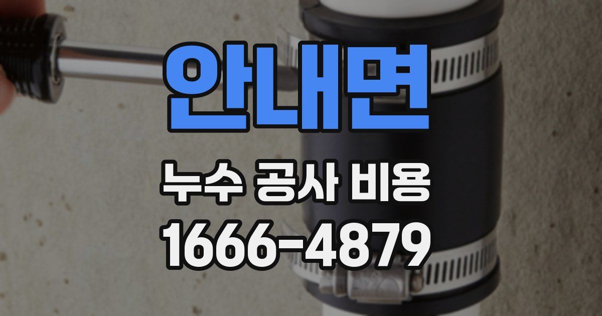 안내면 누수 공사 비용