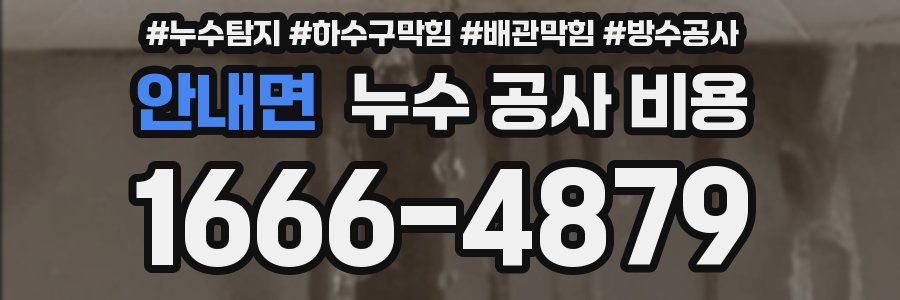 안내면 누수 공사 비용