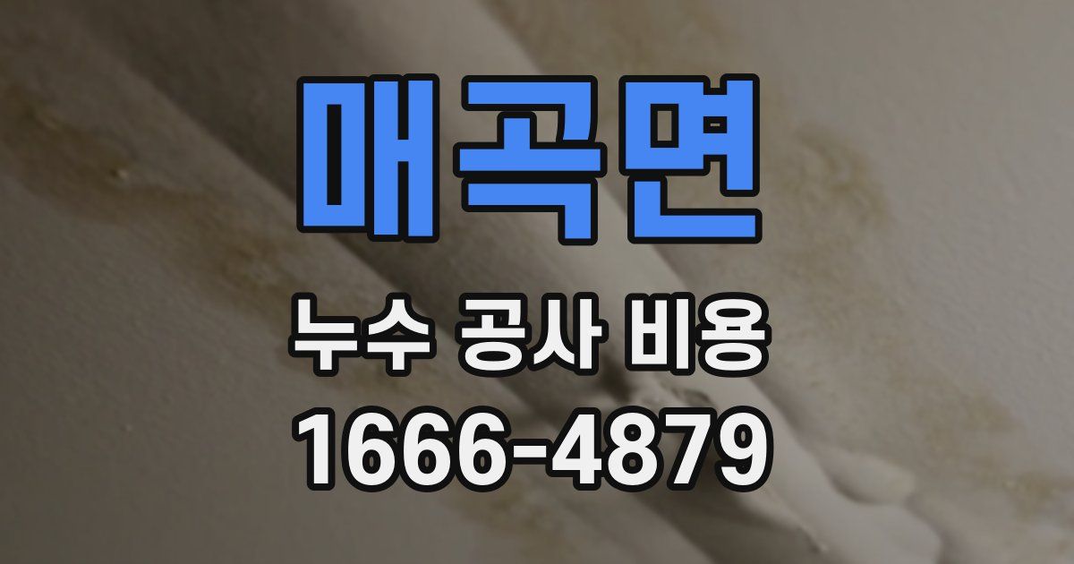 매곡면 누수 공사 비용