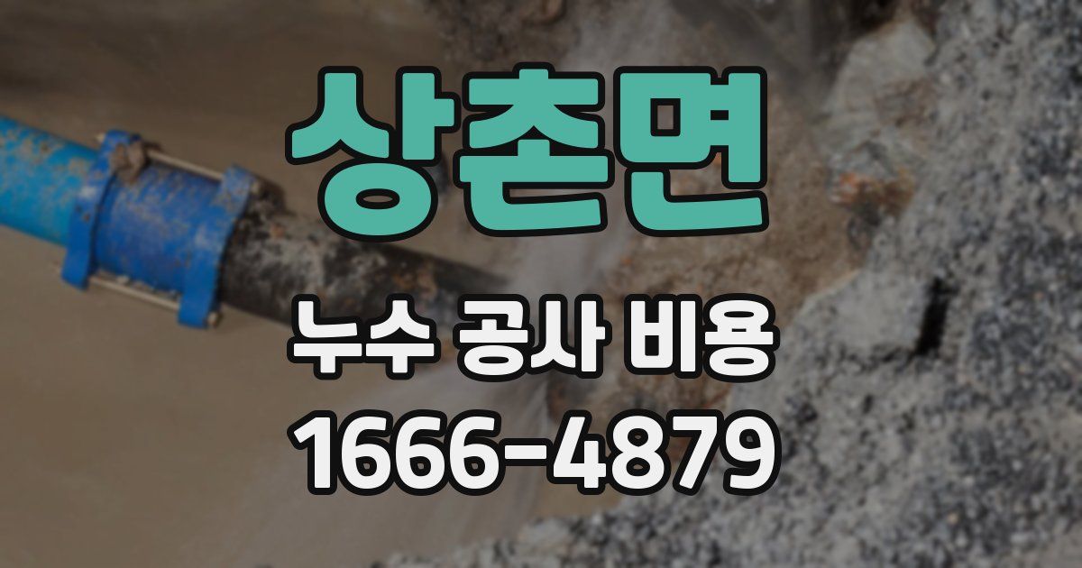 상촌면 누수 공사 비용