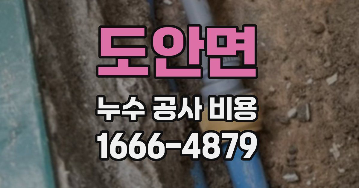 도안면 누수 공사 비용