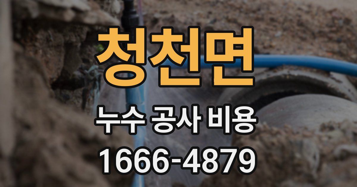 청천면 누수 공사 비용
