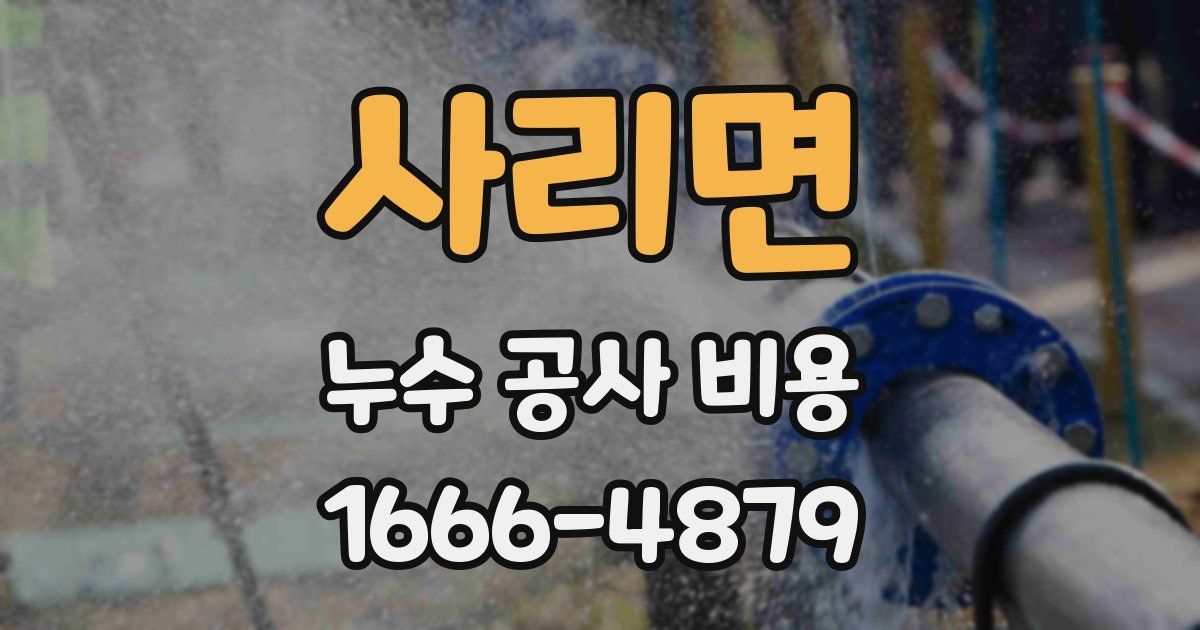 사리면 누수 공사 비용