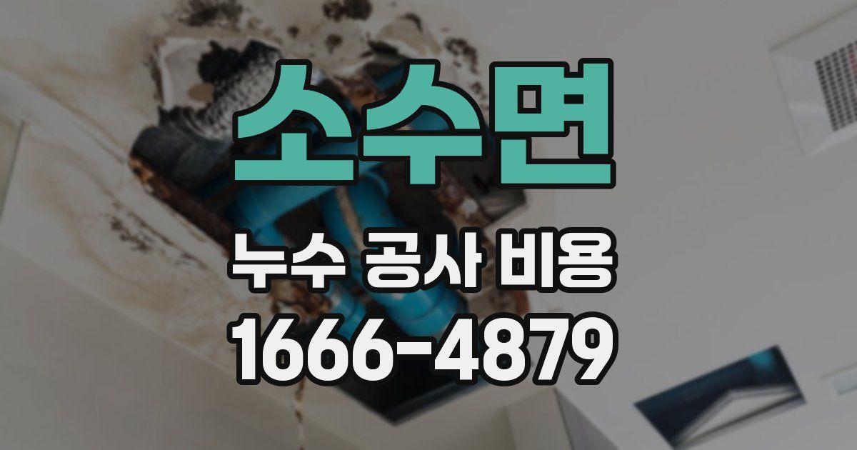 소수면 누수 공사 비용