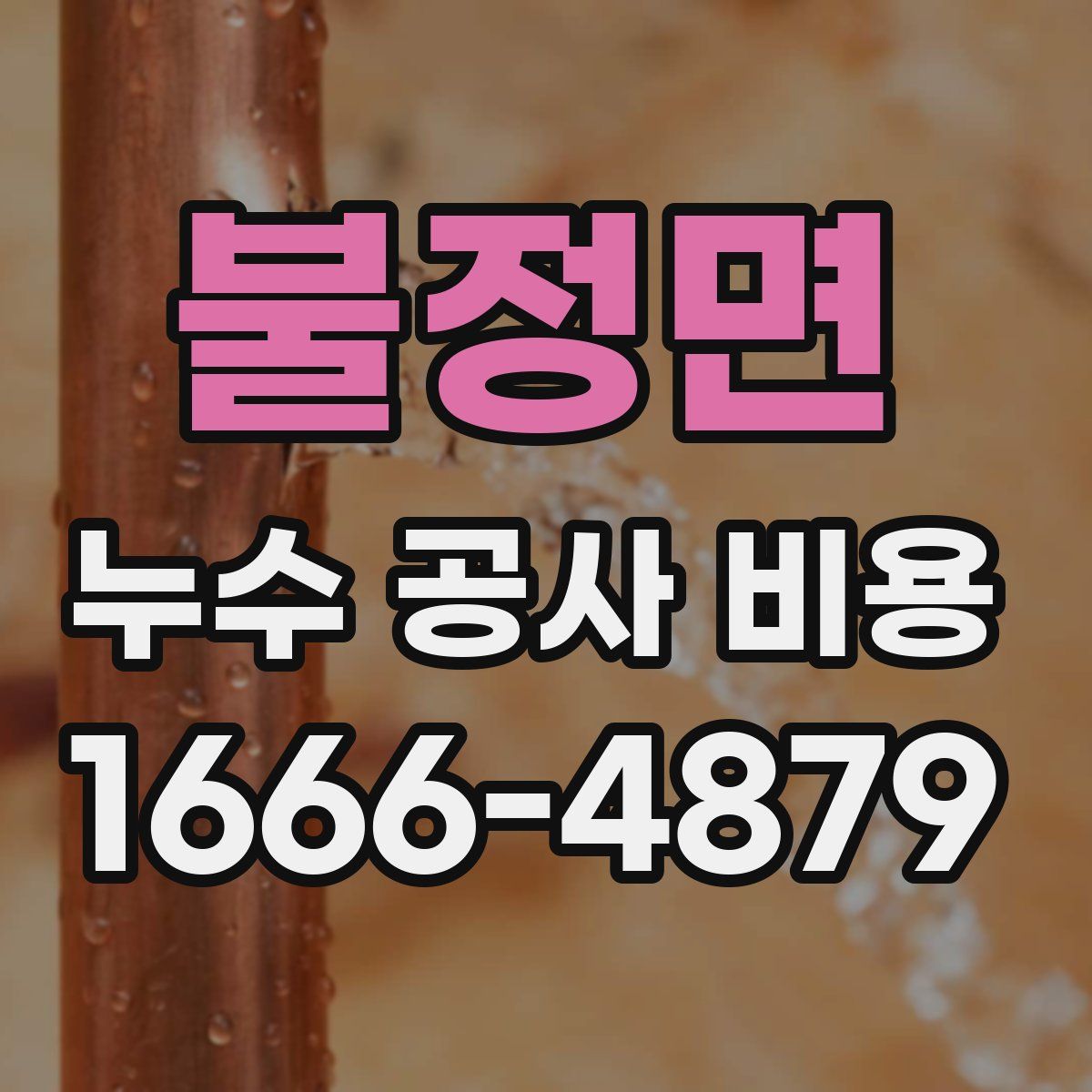 불정면 누수 공사 비용