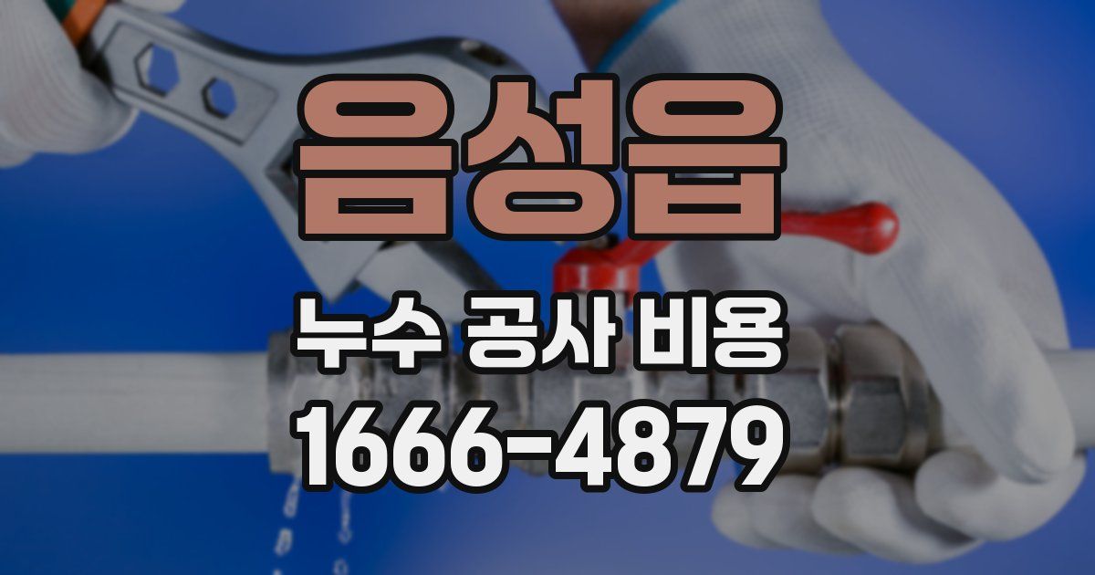 음성읍 누수 공사 비용