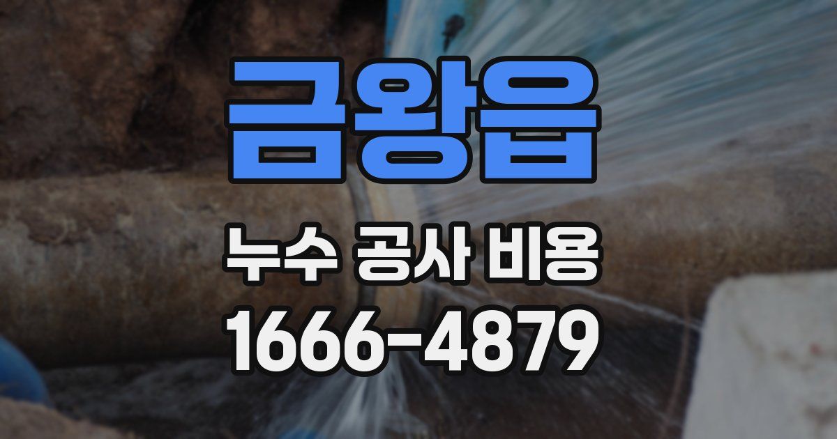 금왕읍 누수 공사 비용