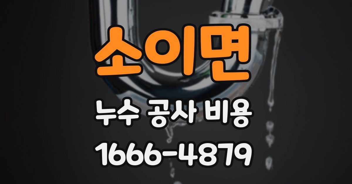 소이면 누수 공사 비용