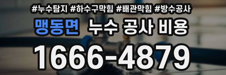 맹동면 누수 공사 비용