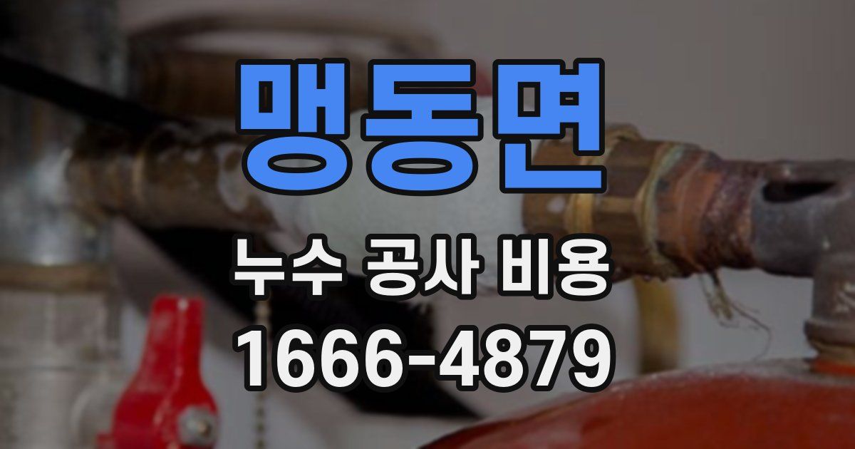 맹동면 누수 공사 비용
