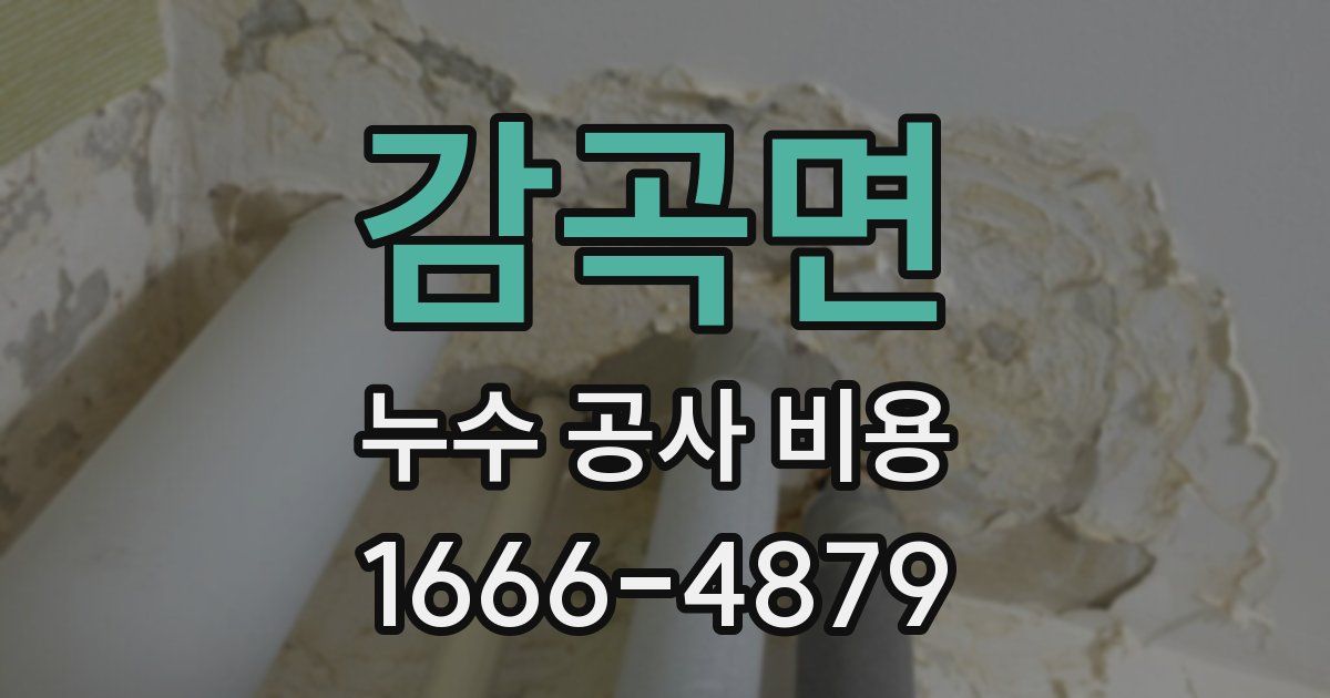 감곡면 누수 공사 비용