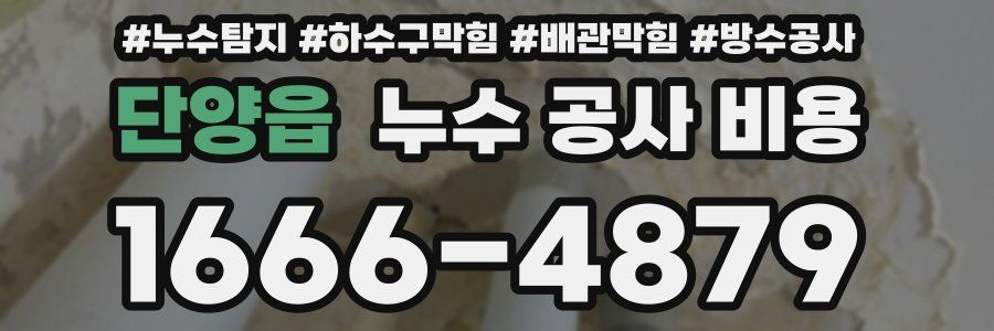 단양읍 누수 공사 비용