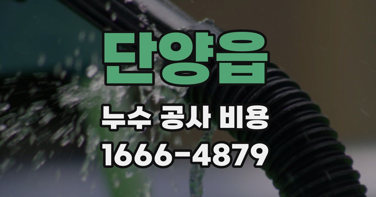 단양읍 누수 공사 비용