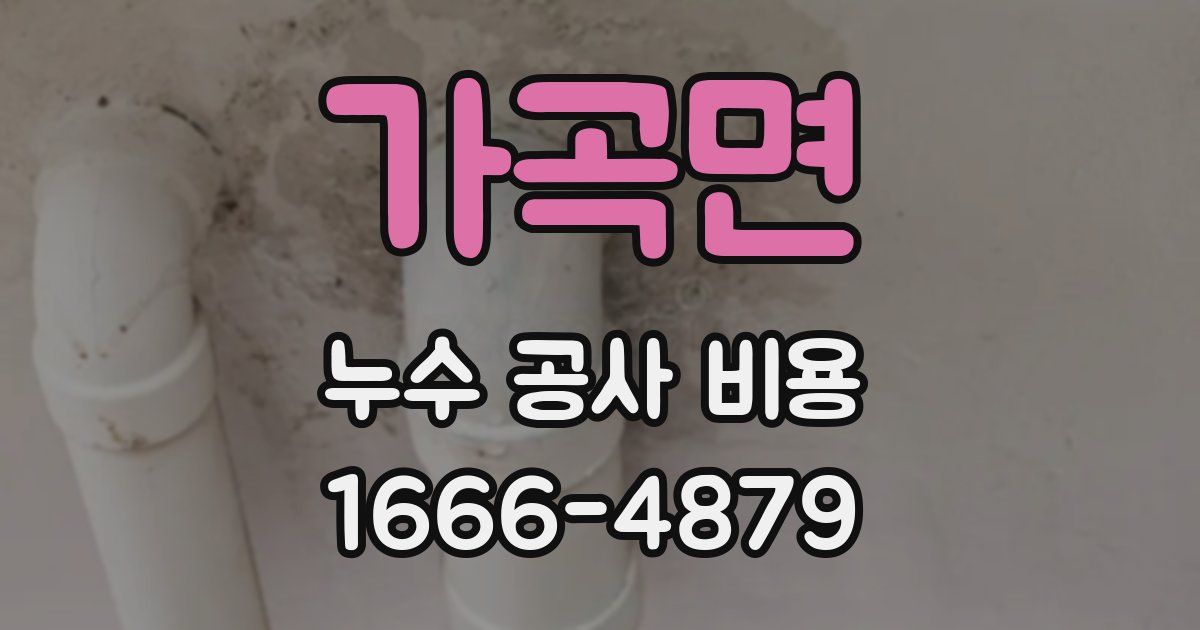 가곡면 누수 공사 비용