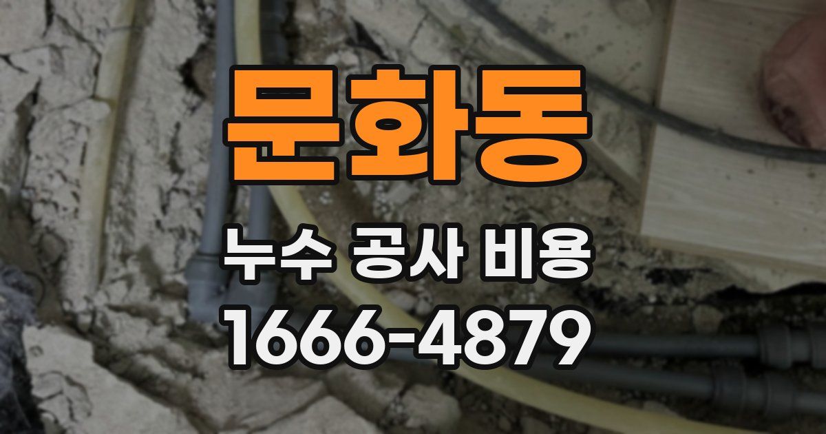 문화동 누수 공사 비용