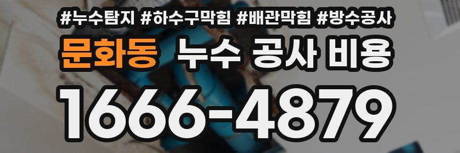 문화동 누수 공사 비용