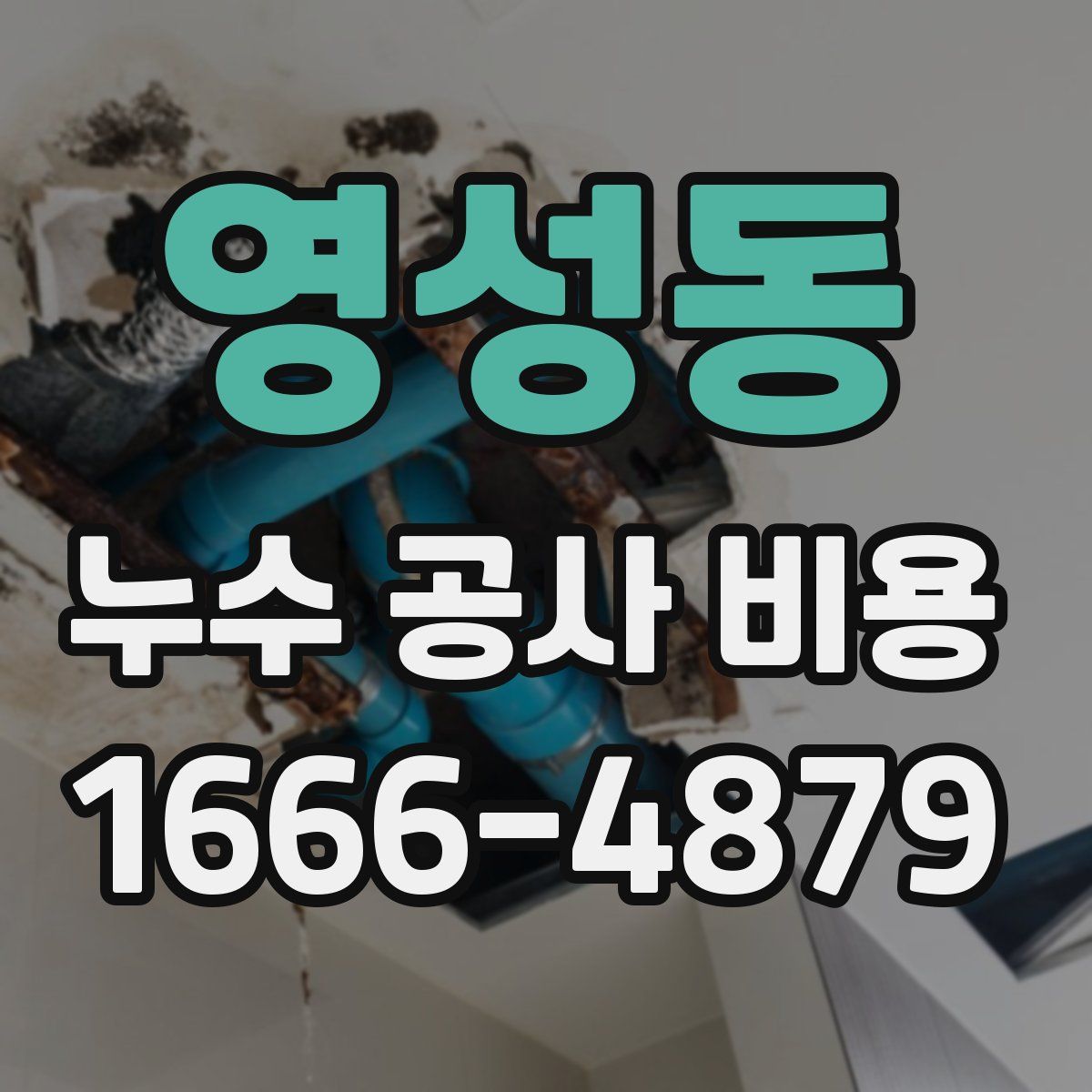 영성동 누수 공사 비용