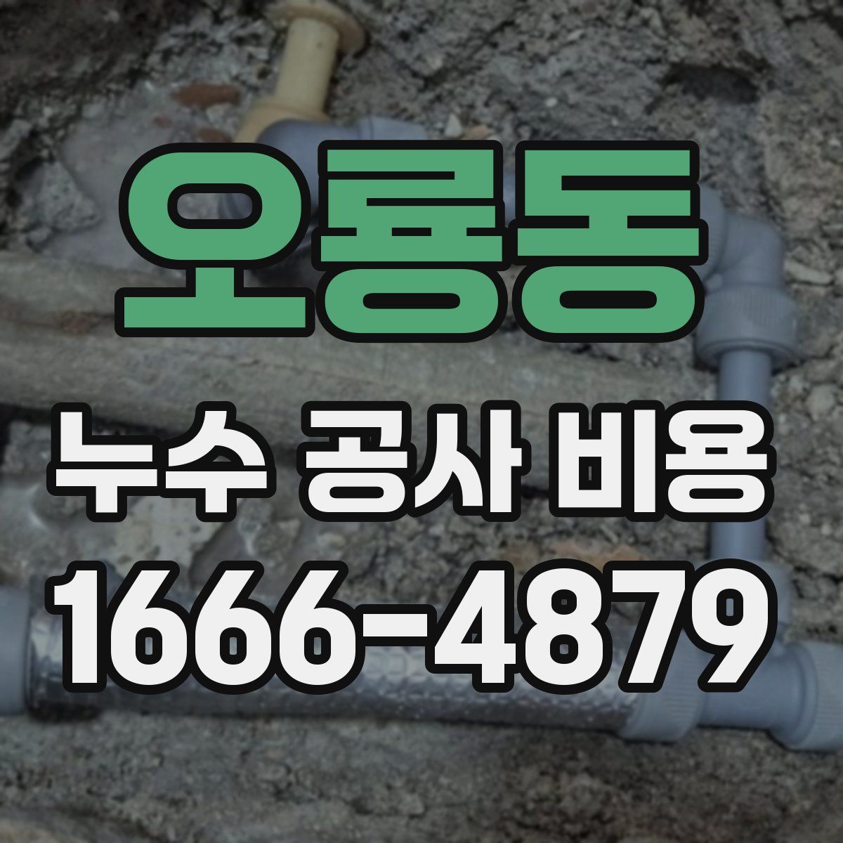 오룡동 누수 공사 비용