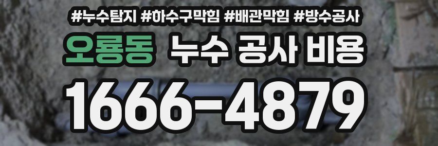 오룡동 누수 공사 비용