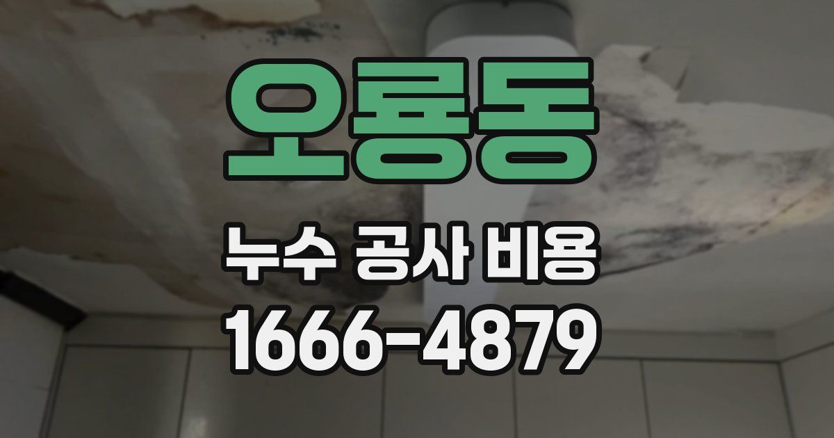오룡동 누수 공사 비용