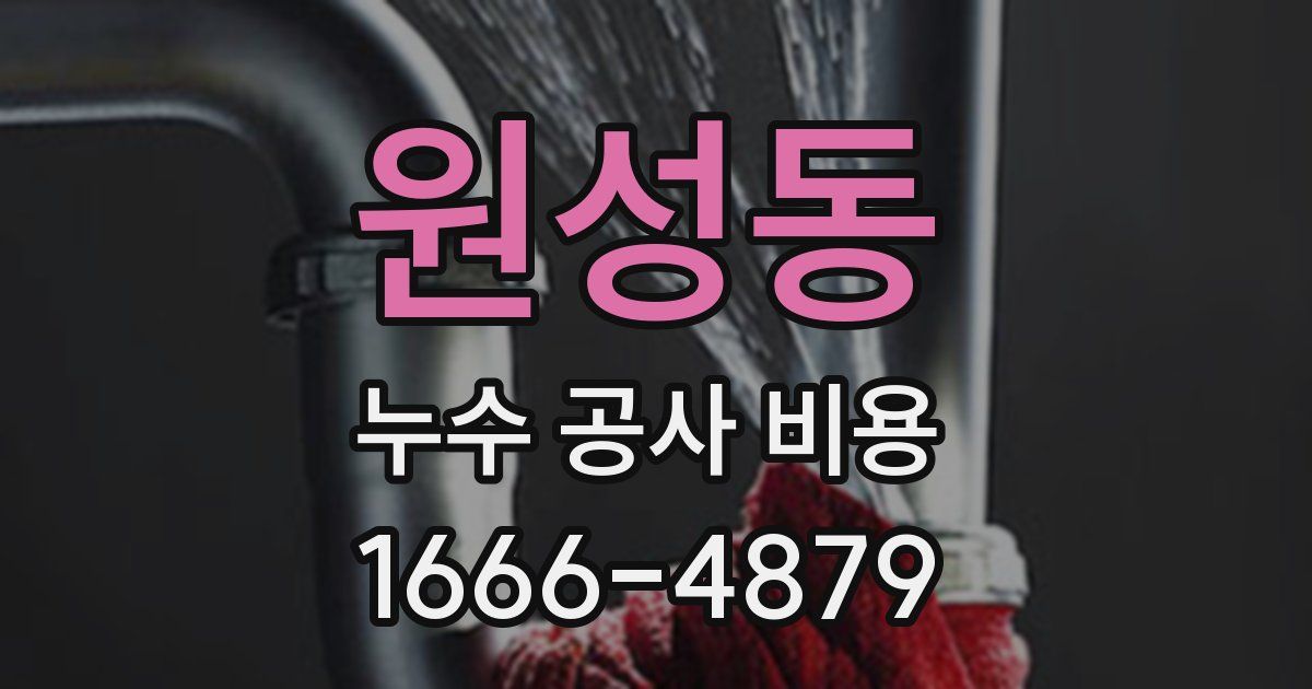 원성동 누수 공사 비용