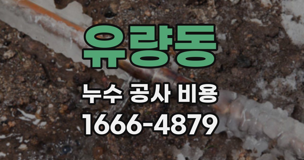 유량동 누수 공사 비용