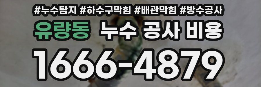 유량동 누수 공사 비용