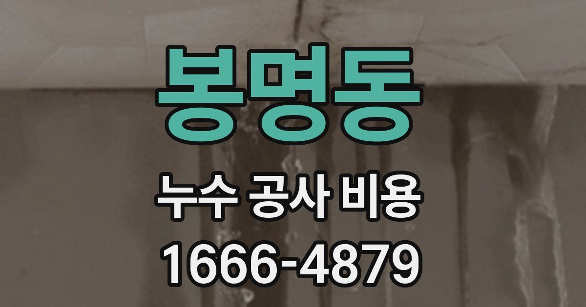 봉명동 누수 공사 비용