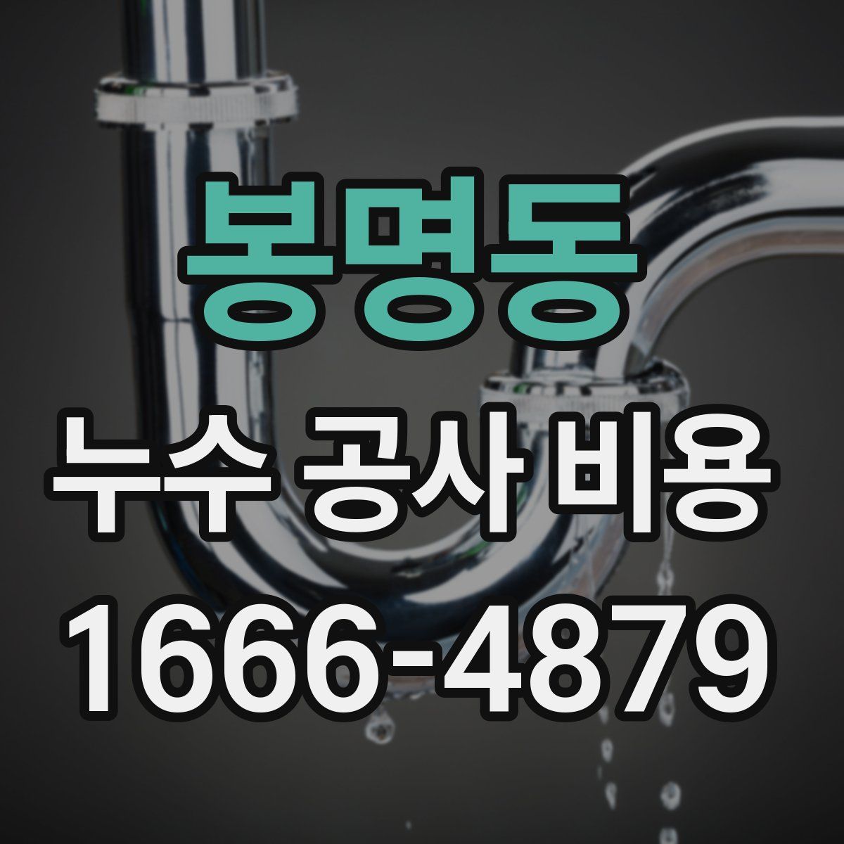 봉명동 누수 공사 비용