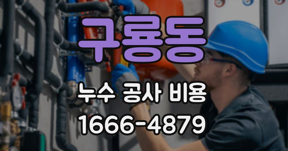 구룡동 누수 공사 비용
