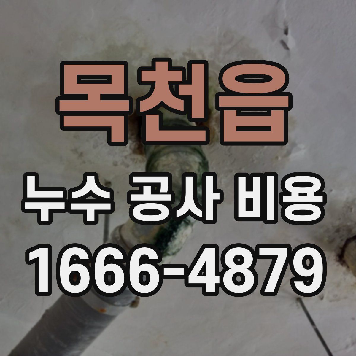 목천읍 누수 공사 비용