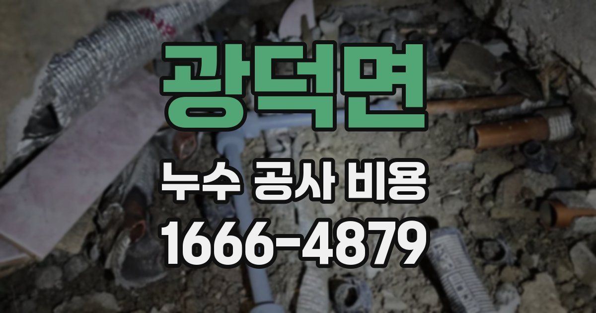 광덕면 누수 공사 비용