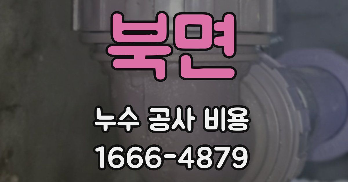 북면 누수 공사 비용