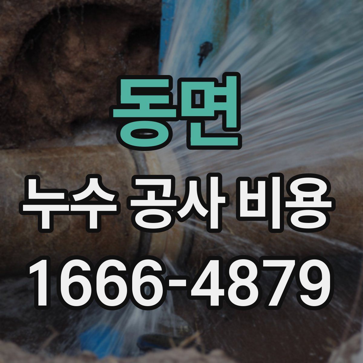동면 누수 공사 비용