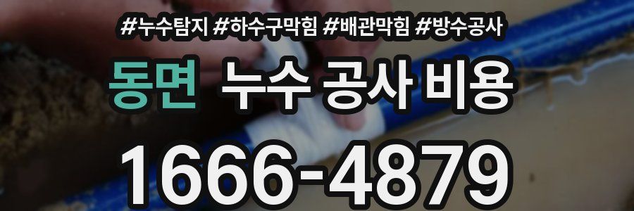 동면 누수 공사 비용