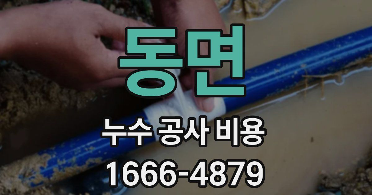 동면 누수 공사 비용