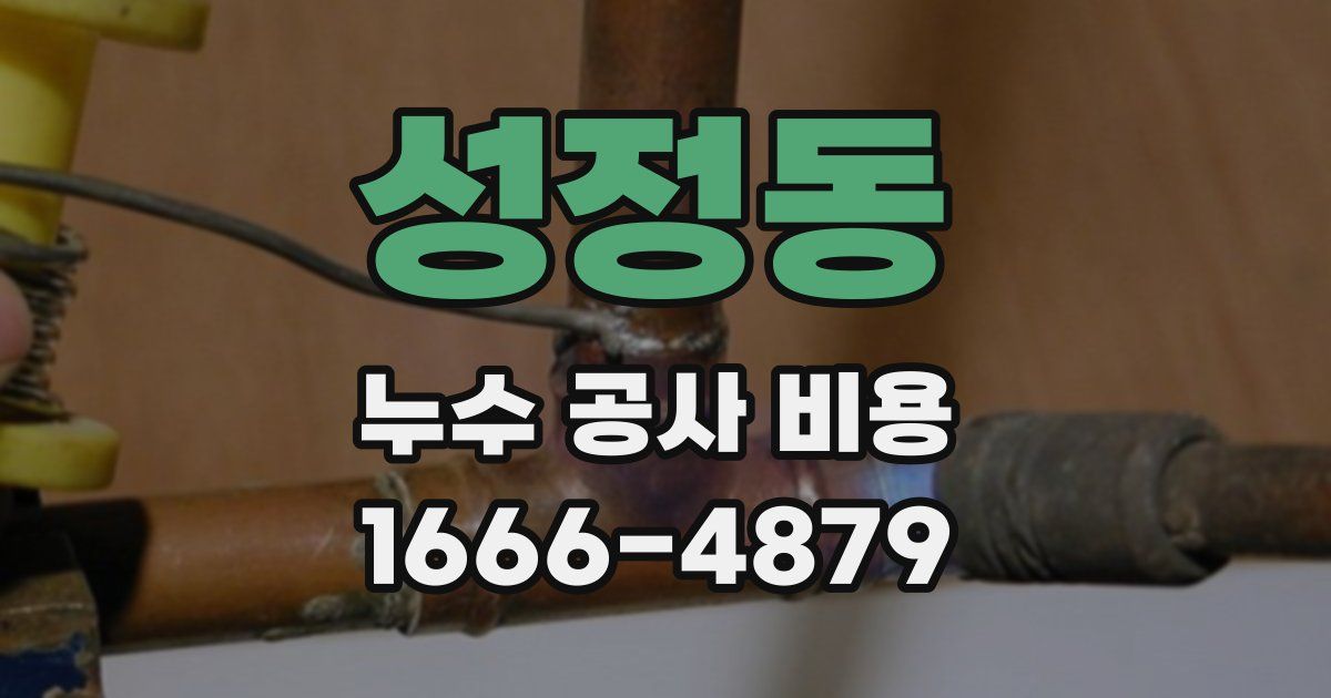성정동 누수 공사 비용