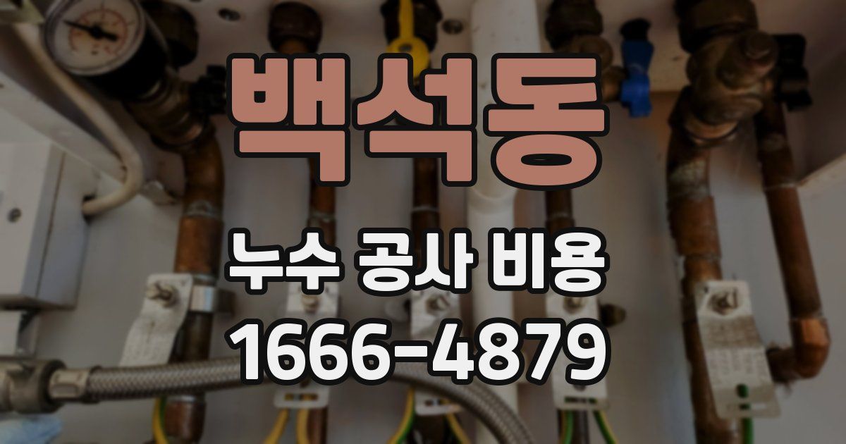 백석동 누수 공사 비용