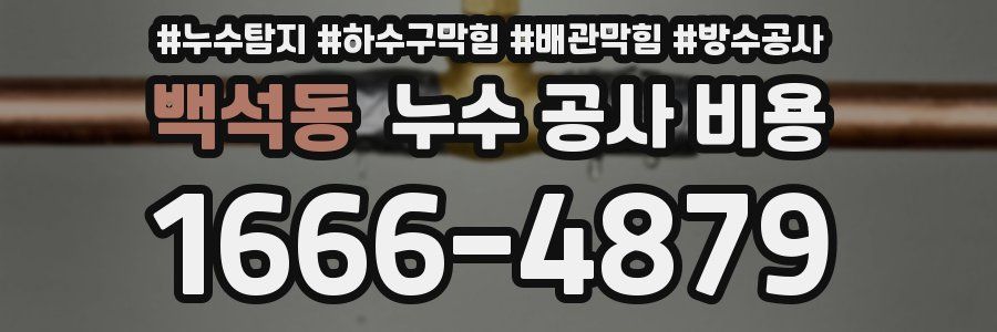 백석동 누수 공사 비용