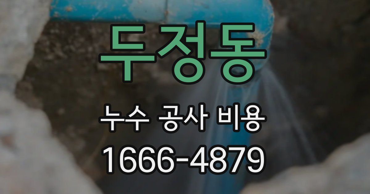 두정동 누수 공사 비용