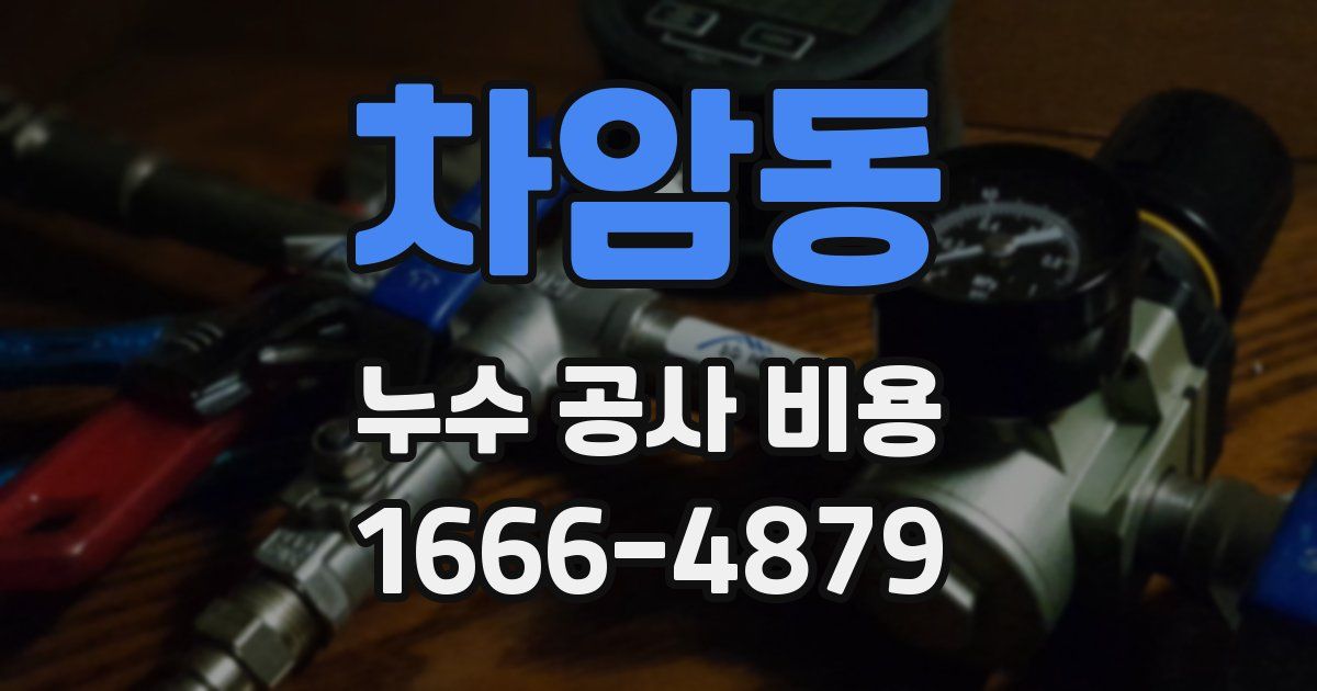 차암동 누수 공사 비용
