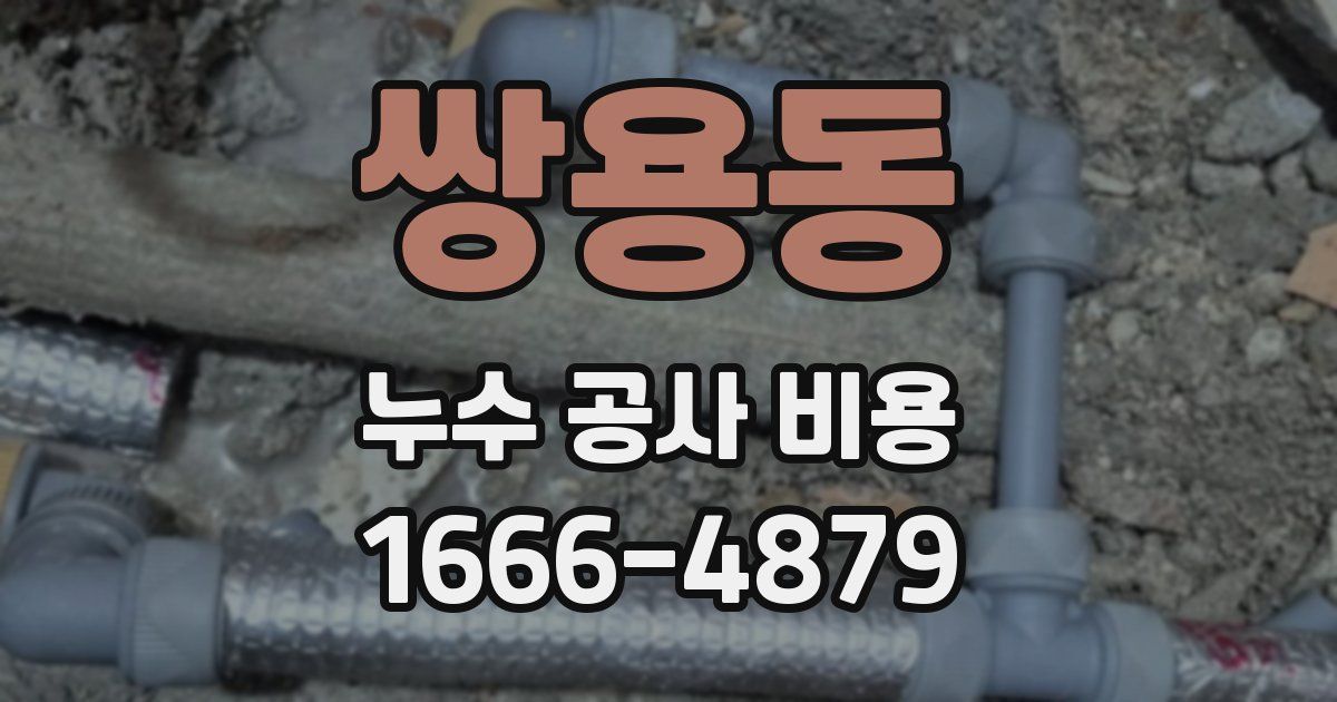 쌍용동 누수 공사 비용