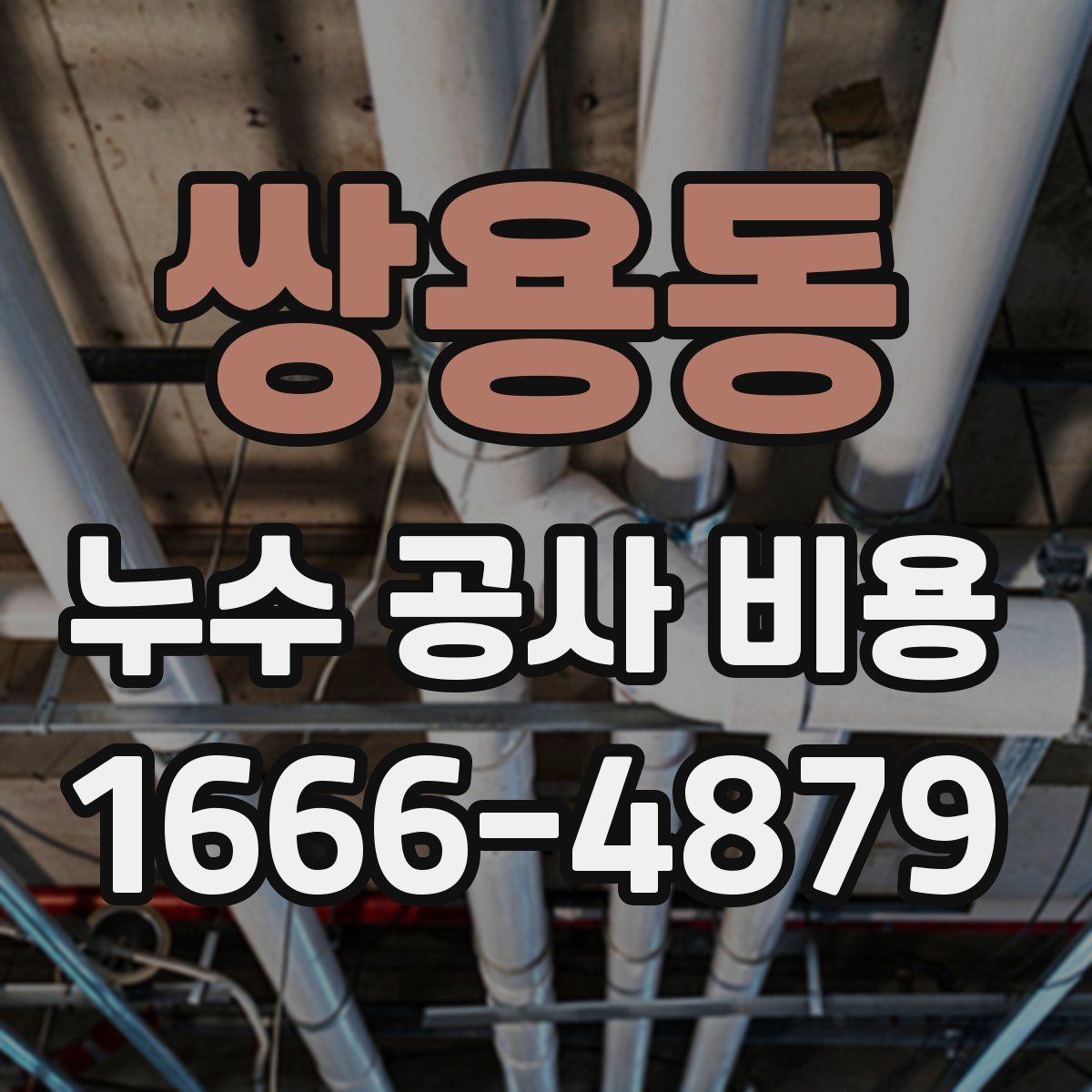 쌍용동 누수 공사 비용