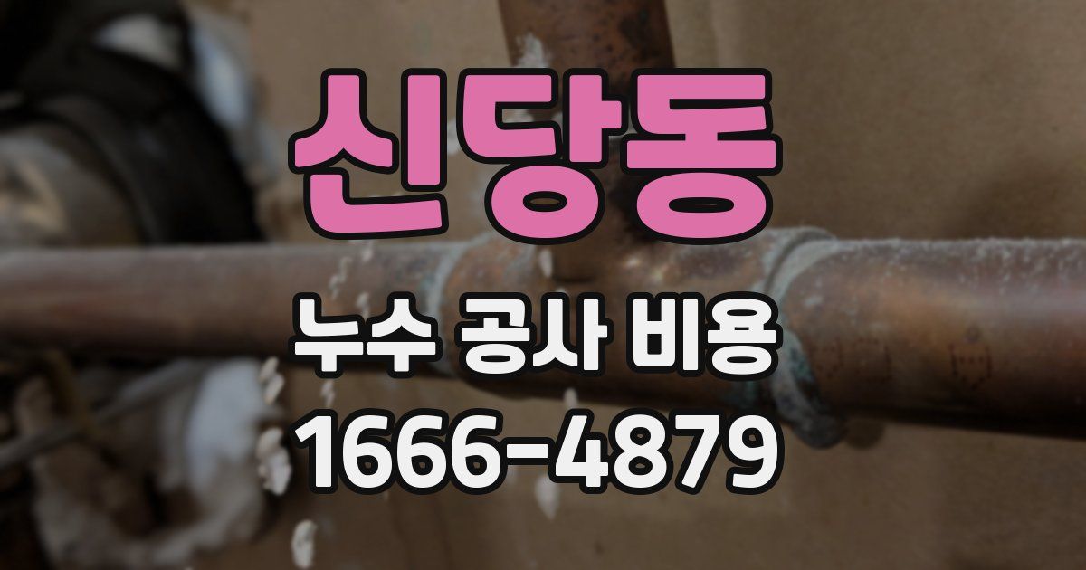 신당동 누수 공사 비용
