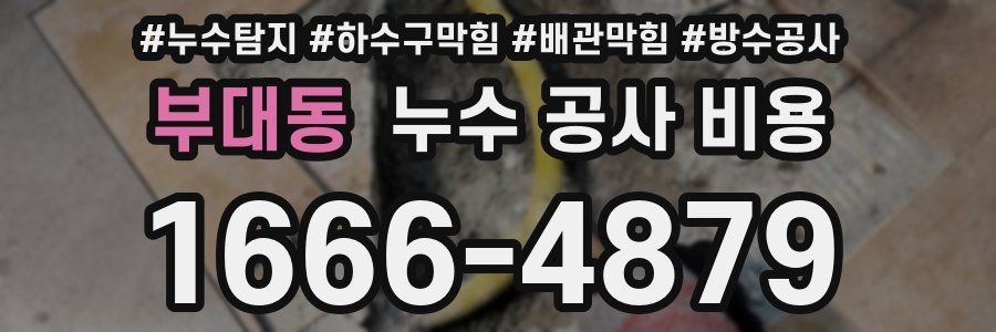부대동 누수 공사 비용
